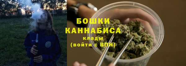 spice Верхний Тагил